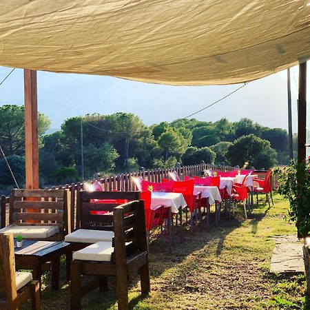 La Frasera Alojamiento Rural Vacarisas Dış mekan fotoğraf