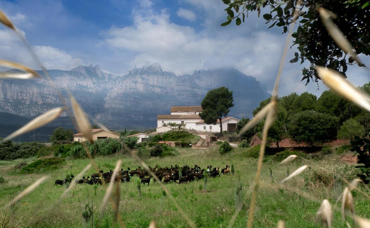 La Frasera Alojamiento Rural Vacarisas Dış mekan fotoğraf